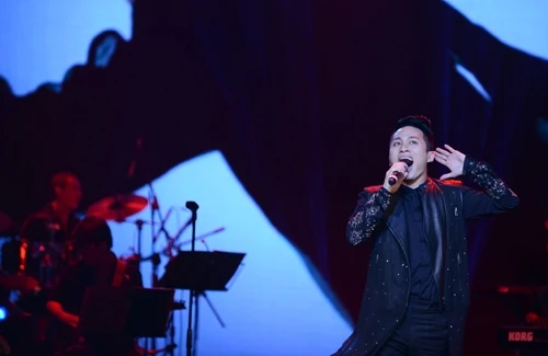 Những mảng màu âm nhạc sống động 