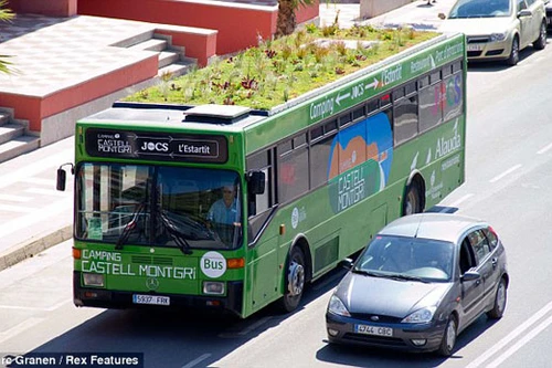 Trồng cây trên xe bus để... chống nóng