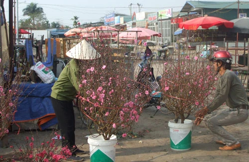 Đánh bạc với... trời