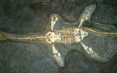 Quái vật hồ Loch Ness: Huyền thoại, sự thật, hay là trò câu khách?