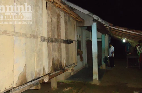 Cả làng hoảng sợ vì rắn hổ chúa tấn công trả thù cho đồng loại