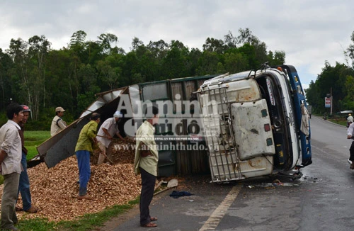 Né xe khách vượt ẩu, xe chở dăm lật xuống ruộng