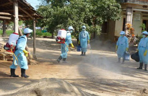 Phú Yên: Công bố dịch lở mồm, long móng trên gia súc