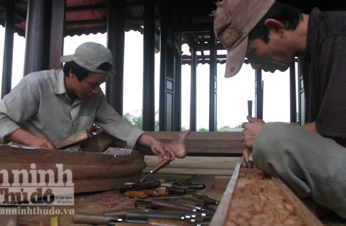 Khởi nguồn từ niềm đam mê cây cảnh, đồ cổ...