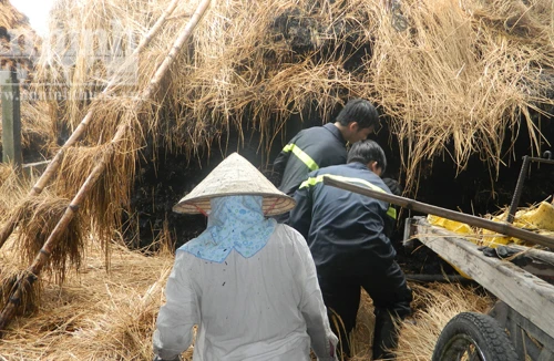 Nửa đêm kẻ gian đốt cháy khu bán rơm