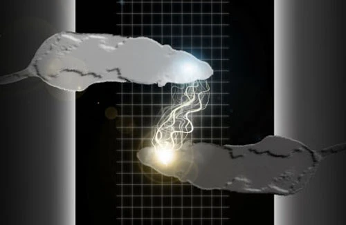 Hi vọng mới về mạng máy tính hữu cơ