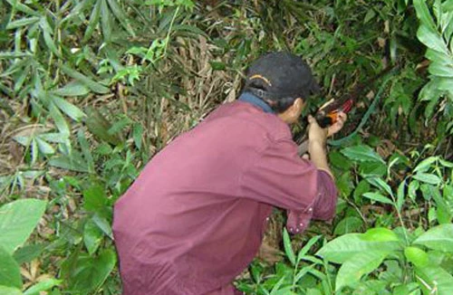 Nổ súng vào đầu hàng xóm do nhầm là...sóc