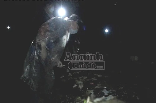 Tìm thấy thi thể thuyền viên tàu chở gỗ bị nạn trên biển