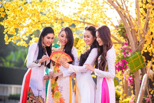 Người đẹp Việt rạng rỡ khoe sắc trong tà áo dài truyền thống