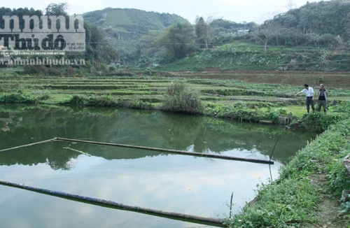 Hai chị em ruột bị đuối nước thương tâm