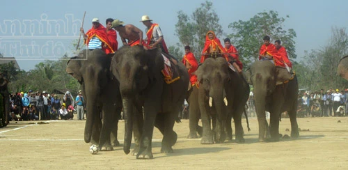 Lên Tây Nguyên xem Lễ hội đua voi 