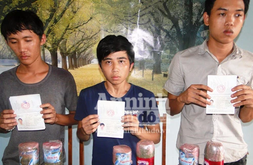 Bắt ổ nhóm vận chuyển cần sa khô từ Lào về Việt Nam