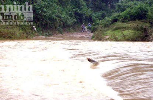 Lũ lớn cô lập huyện miền núi Nam Trà My