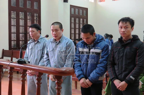 “Ăn” hạt cười lĩnh 75 tháng tù