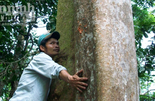 “Làng kiểm lâm” dưới rừng Trút