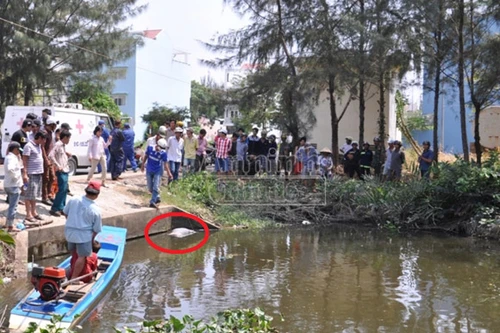 Phát hiện xác người đàn ông nổi trên rạch nước