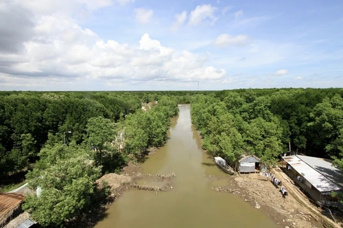 Cuộc thi nhiếp ảnh về các vùng đất than bùn Đông Nam Á 