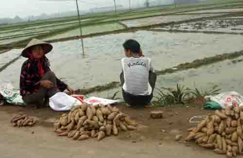 Liên kết “bốn nhà”: Vẫn nằm ỳ trên giấy