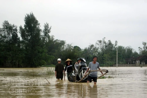 Nghệ An: 2.430 ngôi nhà chìm trong biển nước