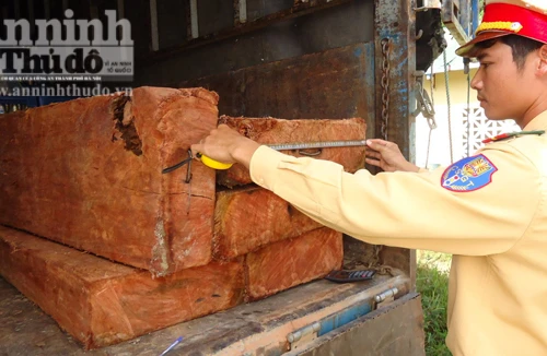 Bắt 2 vụ khai thác, vận chuyển gỗ lậu