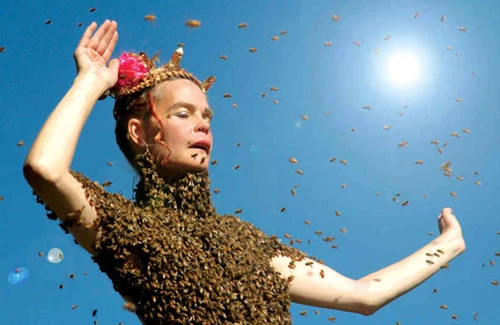 Những phụ nữ dám “thách thức quỷ dữ”