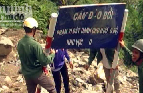 Rộ tin đồn đào gỗ sưa trúng bạc tỷ, bỏ nương rẫy, đổ xô đi tìm