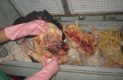Hô biến gà xuất huyết thành hàng tươi sống