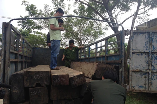 Phát hiện 14 phách gỗ vận chuyển trái phép