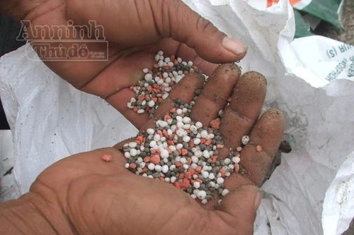 Phát hiện hơn 1,2 tấn phân bón giả ngay tại công ty cung ứng