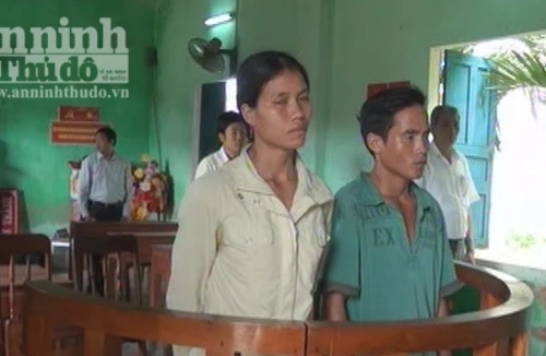 Rủ nhau phá rừng, nam nữ thanh niên ra toà lĩnh án