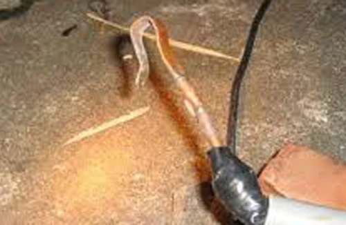 Dùng dao chém cán bộ điện lực vì bị phát hiện câu trộm điện