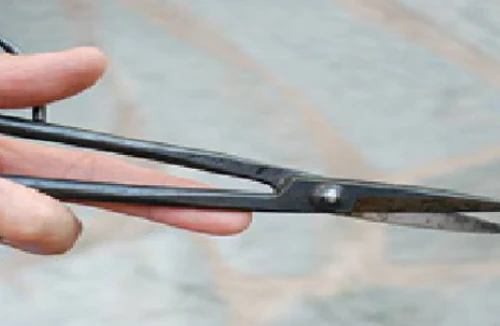 Mâu thuẫn, cậu dùng kéo đâm chết cháu ruột