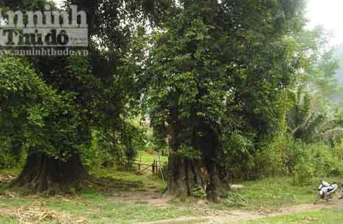 Kì bí "thị vợ, thị chồng" và ngôi đến Bạch Mã linh thiêng