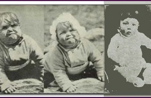 Những trò lừa bịp hay ho nhất thế kỷ