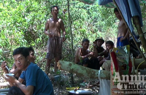 BQL rừng "cửa đóng then cài" mặc lâm tặc hoành hành