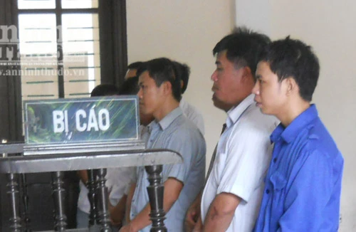 Xét xử phúc thẩm vụ lật xe chở gỗ lậu làm 10 người chết