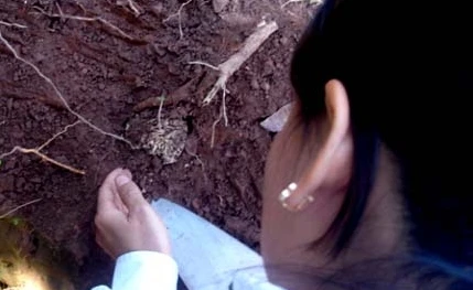 Đào được… tổ mối, thế là cuộc tìm mộ thành công!