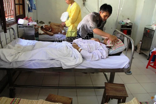 Ăn phải nấm lạ, 3 người tử vong, 1 người nguy kịch