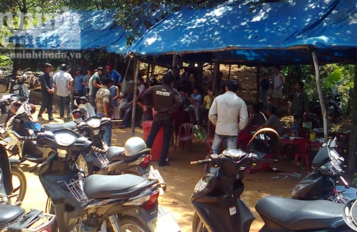 Phá trường gà lớn, tạm giữ 27 đối tượng