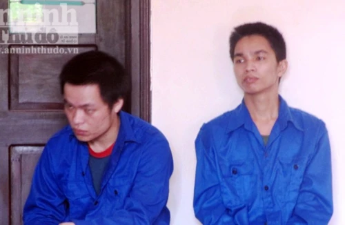 Đốn mạt hai gã trai hãm hiếp thiếu nữ 16 tuổi trong vườn mía