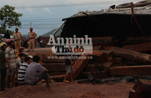 Lật xe chở 24m3 gỗ không có dấu búa kiểm lâm