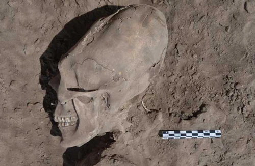 Phát hiện sọ “người ngoài hành tinh" ở Mexico