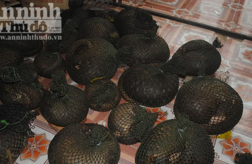 Ô tô không BKS chở hơn 400kg kỳ đà và tê tê 