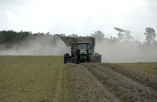 Hơn một nửa số thực phẩm trên thế giới đang bị bỏ phí