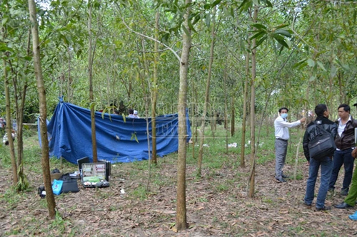 Người phụ nữ chết trong rừng keo do bị cắt cổ