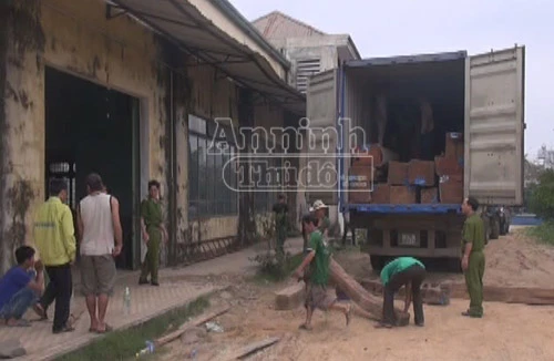 Phát hiện gần 10 khối gỗ lậu lẫn trong đống gỗ hợp pháp