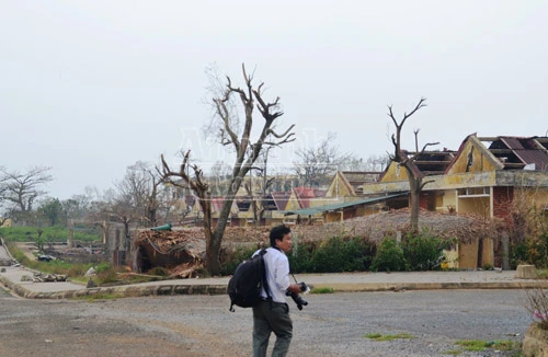 Đảo Cồn Cỏ tan hoang sau bão, cần hỗ trợ khẩn cấp