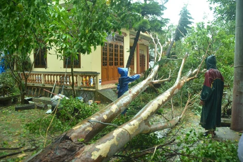 Cứu trợ 1.200 thùng hàng cho người dân bị ảnh hưởng cơn bão số 10