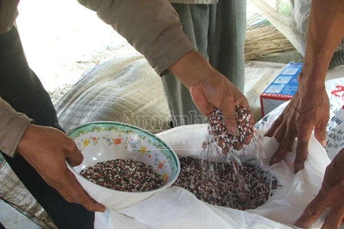 Vụ phát hiện hàng tấn phân bón giả: Thêm hàng chục hộ dân trình báo