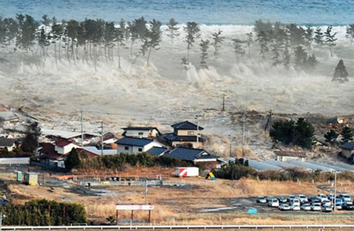  “Sống sót trong sóng thần”